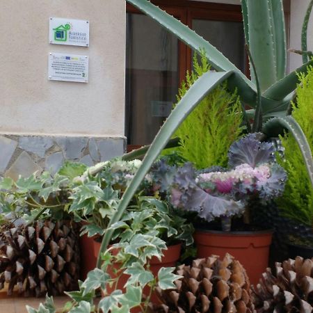 Albergue Turistico Tierras Altas Fuentes de Magana ภายนอก รูปภาพ